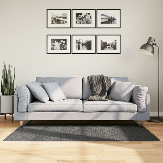 Rug IZA Short Pile Scandinavian Look Anthracite 80x150 cm