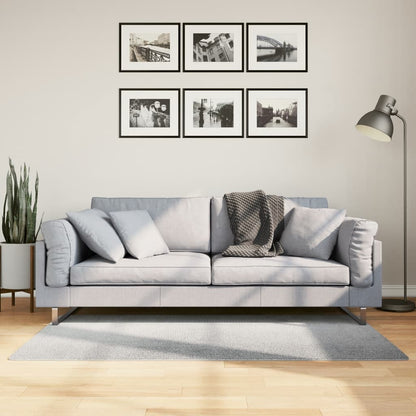 Rug IZA Short Pile Scandinavian Look Grey 80x150 cm
