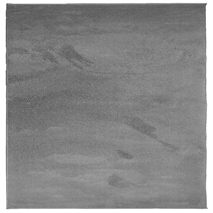 Rug OVIEDO Short Pile Anthracite 120x120 cm