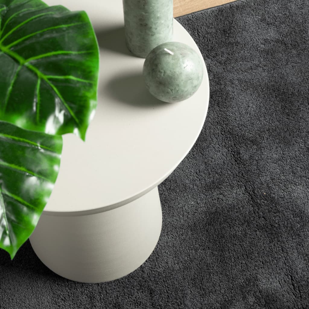 Rug OVIEDO Short Pile Anthracite 120x120 cm