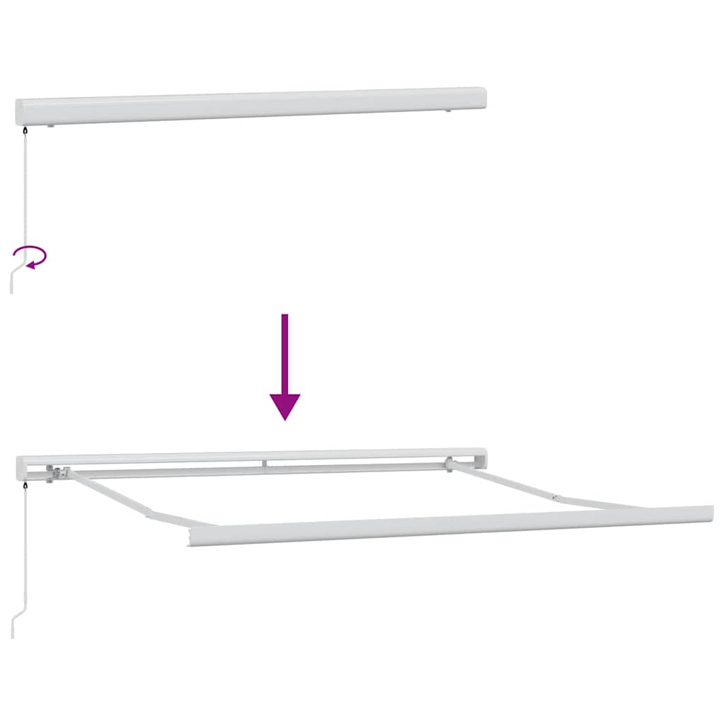 Manual Retractable Awning Brown 300x250 cm