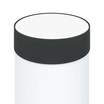 Bollard Light 50 cm Stainless Steel IP44