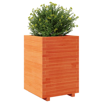 Garden Planter Wax Brown 50x50x72.5 cm Solid Wood Pine