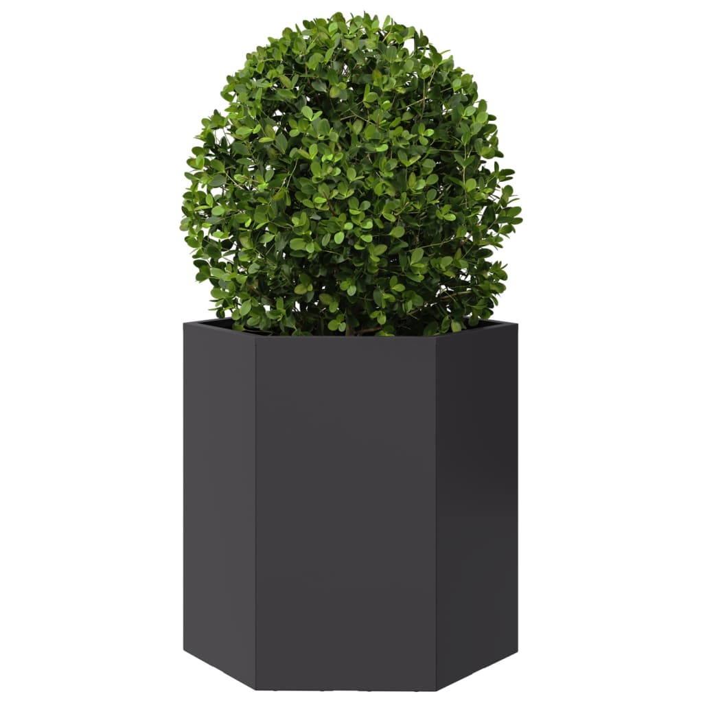 Garden Planter Black Hexagon 46x40x45 cm Steel