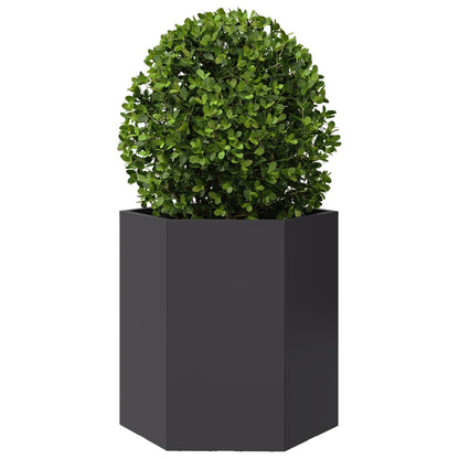 Garden Planter Black Hexagon 46x40x45 cm Steel