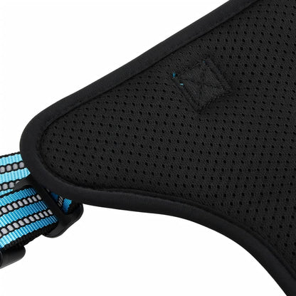 Dog Harness with Lead & Collar Adjustable Blue XL