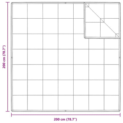 2-in-1 Duvet White 200 x 200 cm Down