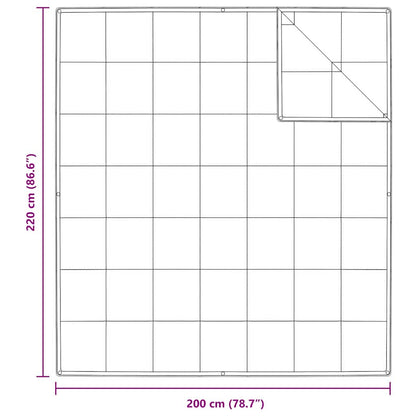 2-in-1 Duvet White 200 x 220 cm Down