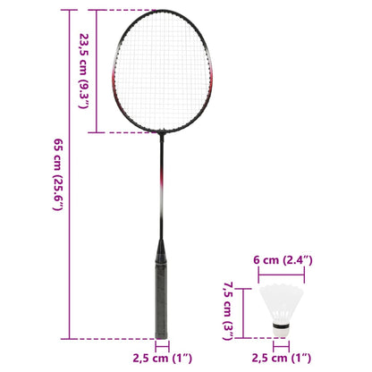 Badminton Set with 2 Rackets. Net & Storage Case 292x30x152 cm