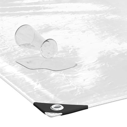 Clear Tarpaulin with Eyelets 2x8 m PVC
