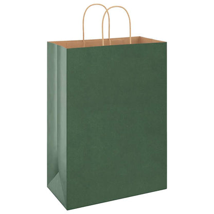 Paper Bags 250 pcs with Handles Green 32x17x44 cm