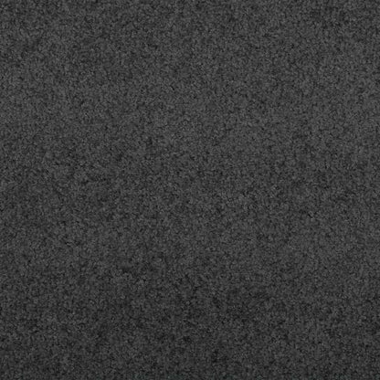 Doormat Other Anthracite and Black 120 x 350 cm