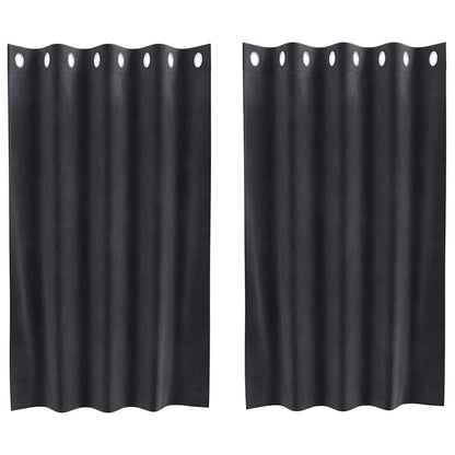 Curtains with Curtains 2 pcs Dark grey 140 x 140 cm Velvet