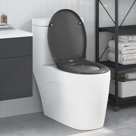 Quick Release Toilet suitable for Seat Anthracite