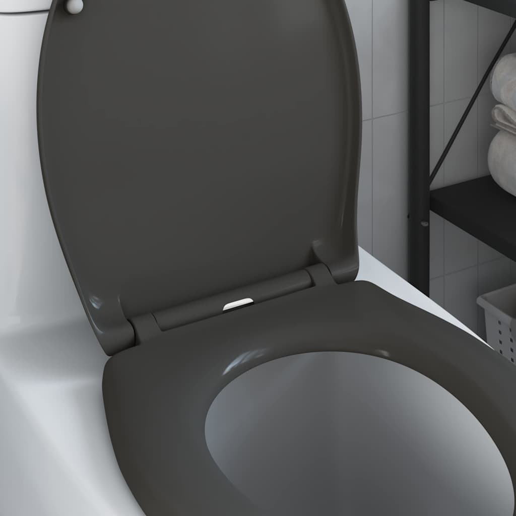 Quick Release Toilet suitable for Seat Anthracite
