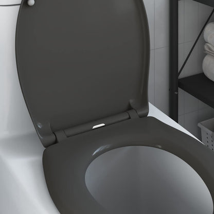 Quick Release Toilet suitable for Seat Anthracite