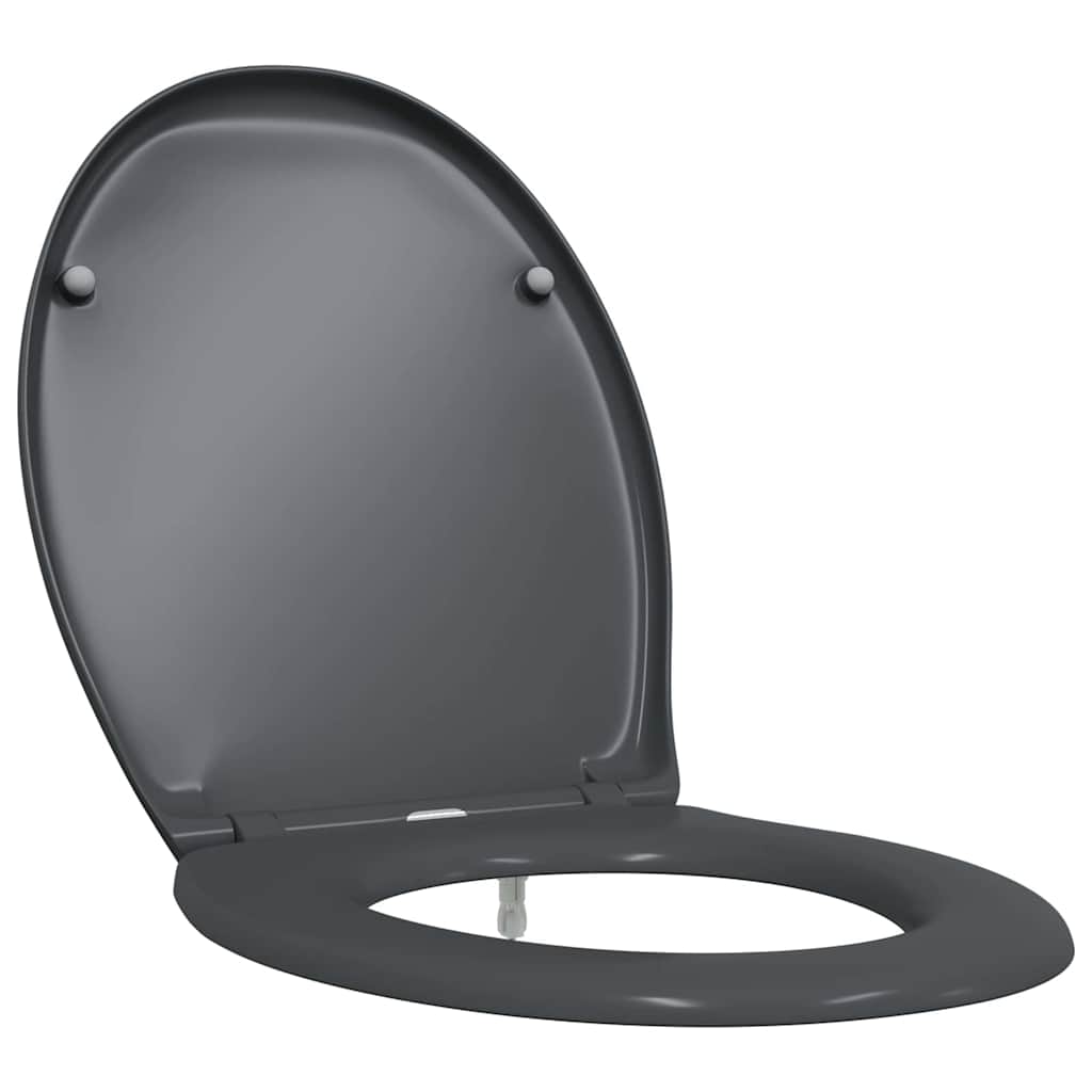 Quick Release Toilet suitable for Seat Anthracite
