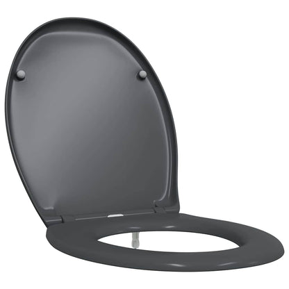 Quick Release Toilet suitable for Seat Anthracite