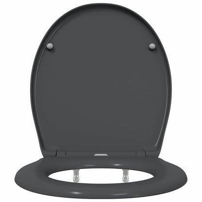 Quick Release Toilet suitable for Seat Anthracite