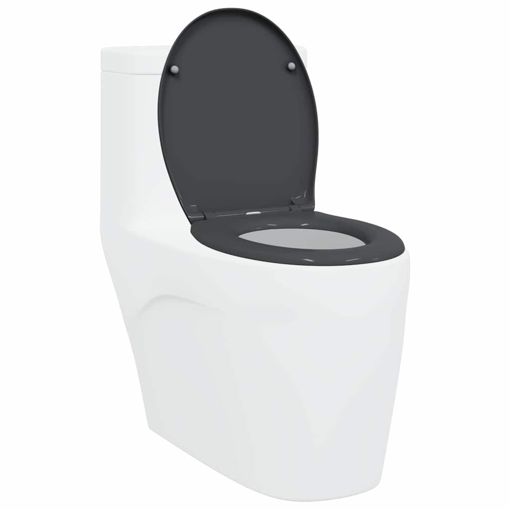 Quick Release Toilet suitable for Seat Anthracite