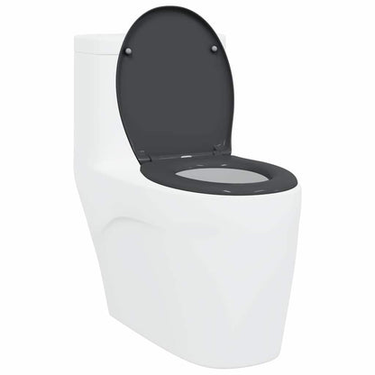 Quick Release Toilet suitable for Seat Anthracite