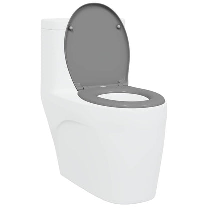 Quick Release Toilet suitable for Seat Grey