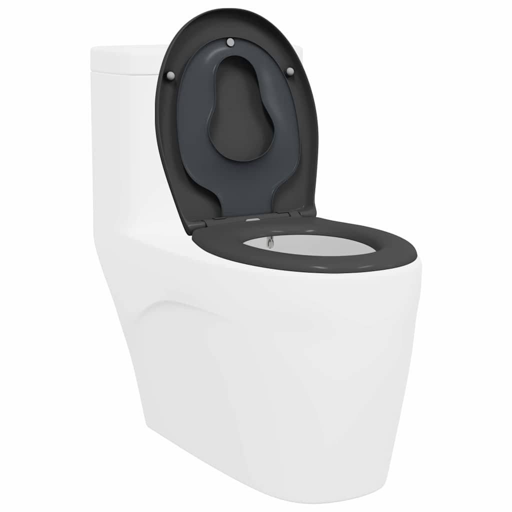 Quick Release Toilet suitable for Seat Anthracite