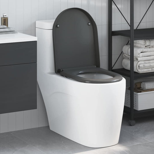 Quick Release Toilet suitable for Seat Anthracite
