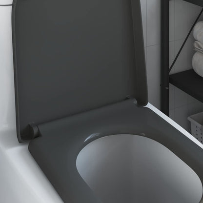 Quick Release Toilet suitable for Seat Anthracite