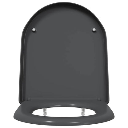 Quick Release Toilet suitable for Seat Anthracite
