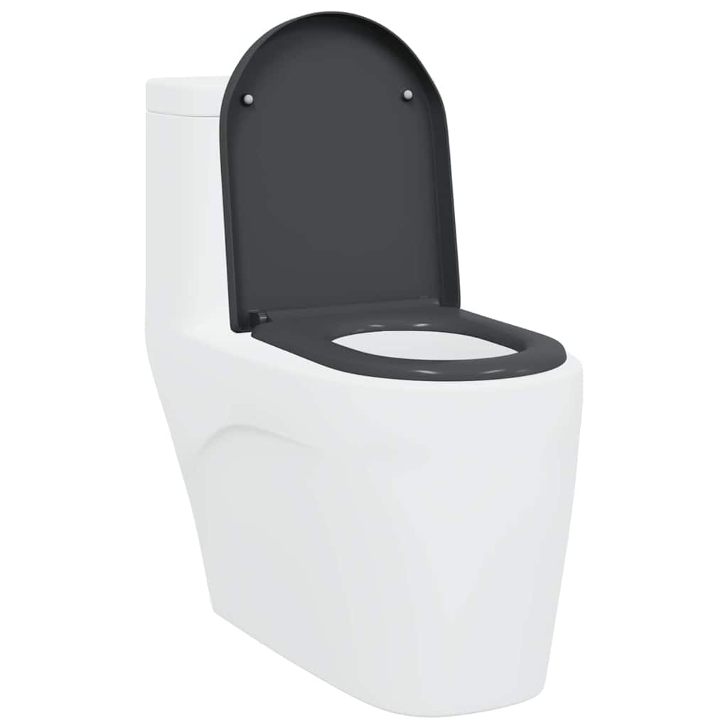Quick Release Toilet suitable for Seat Anthracite
