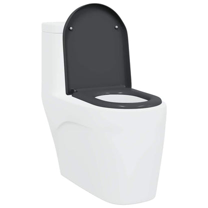 Quick Release Toilet suitable for Seat Anthracite