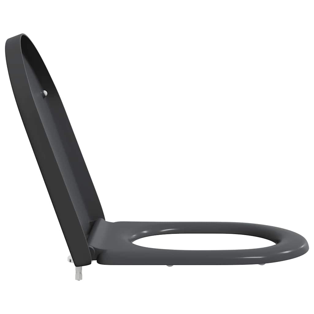 Quick Release Toilet suitable for Seat Anthracite