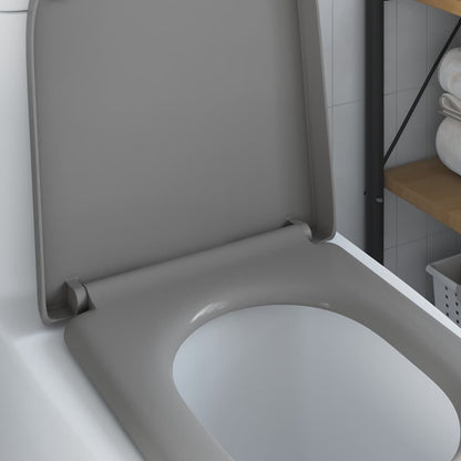 Quick Release Toilet suitable for Seat Grey 46.2 x 36 x 4.3 cm