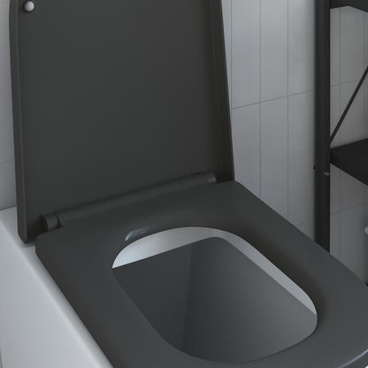 Quick Release Toilet suitable for Seat Anthracite