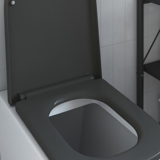 Quick Release Toilet suitable for Seat Anthracite