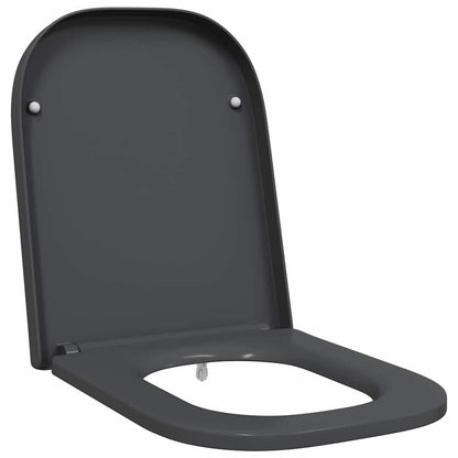 Quick Release Toilet suitable for Seat Anthracite