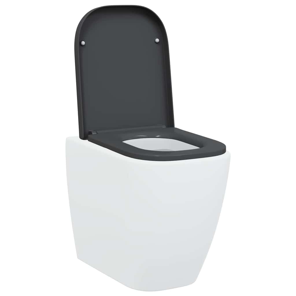 Quick Release Toilet suitable for Seat Anthracite