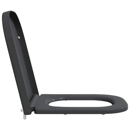 Quick Release Toilet suitable for Seat Anthracite