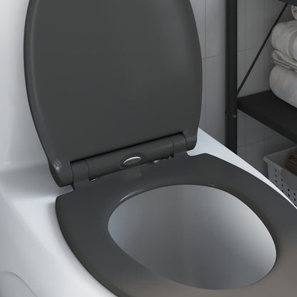 Quick Release Toilet suitable for Seat Anthracite