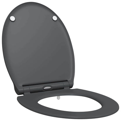 Quick Release Toilet suitable for Seat Anthracite