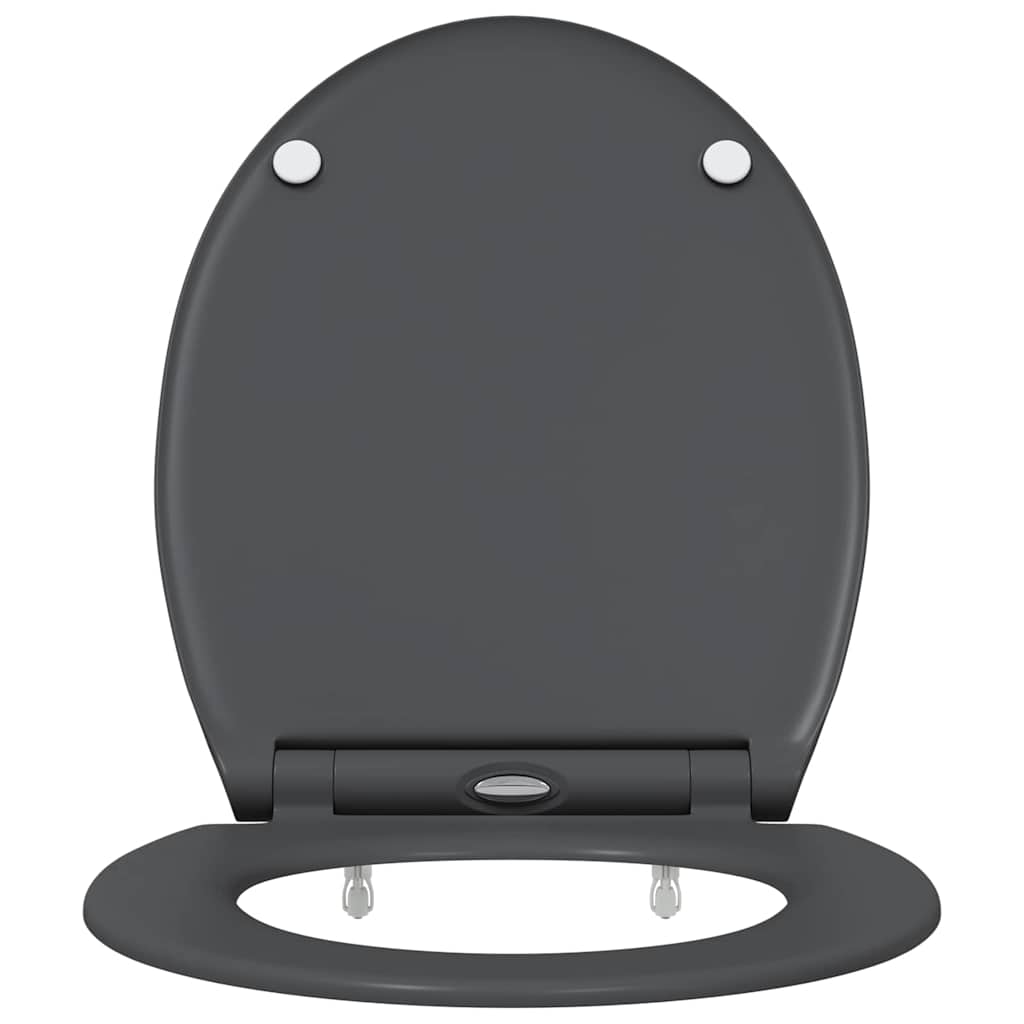 Quick Release Toilet suitable for Seat Anthracite