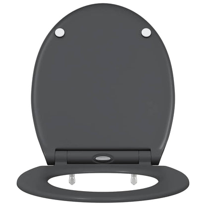 Quick Release Toilet suitable for Seat Anthracite
