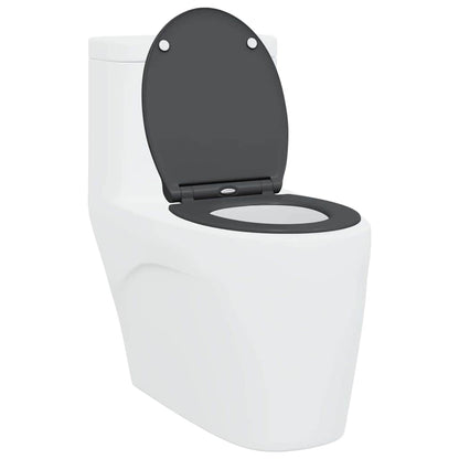 Quick Release Toilet suitable for Seat Anthracite