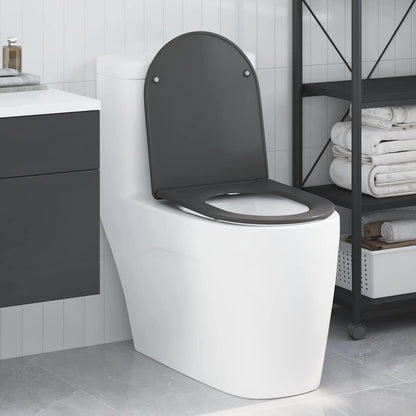 Quick Release Toilet suitable for Seat Anthracite
