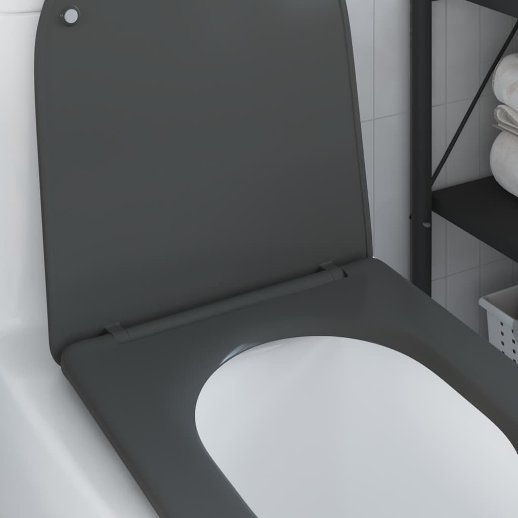 Quick Release Toilet suitable for Seat Anthracite