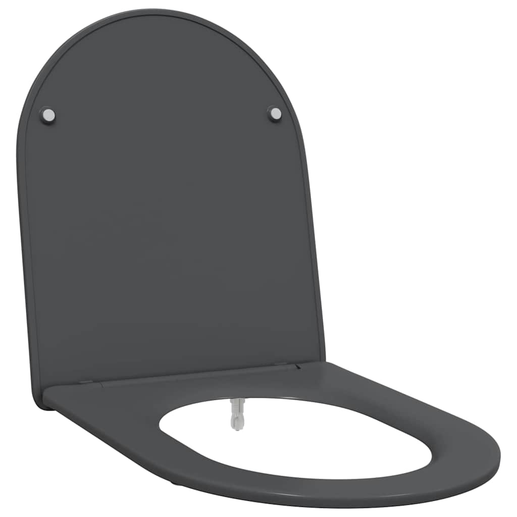 Quick Release Toilet suitable for Seat Anthracite
