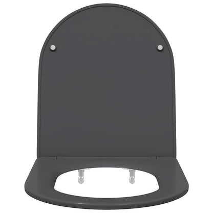 Quick Release Toilet suitable for Seat Anthracite