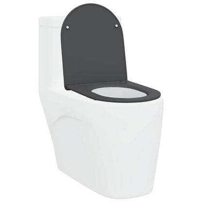 Quick Release Toilet suitable for Seat Anthracite