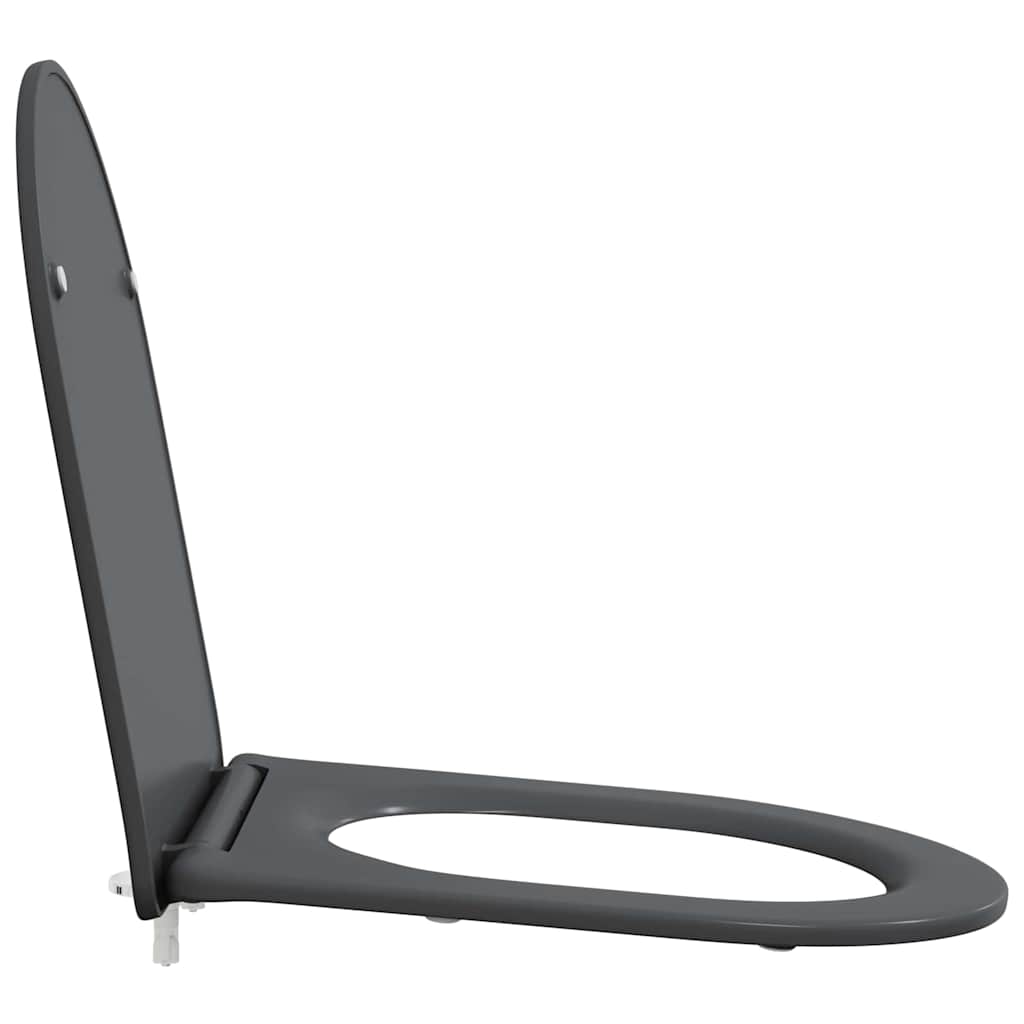 Quick Release Toilet suitable for Seat Anthracite